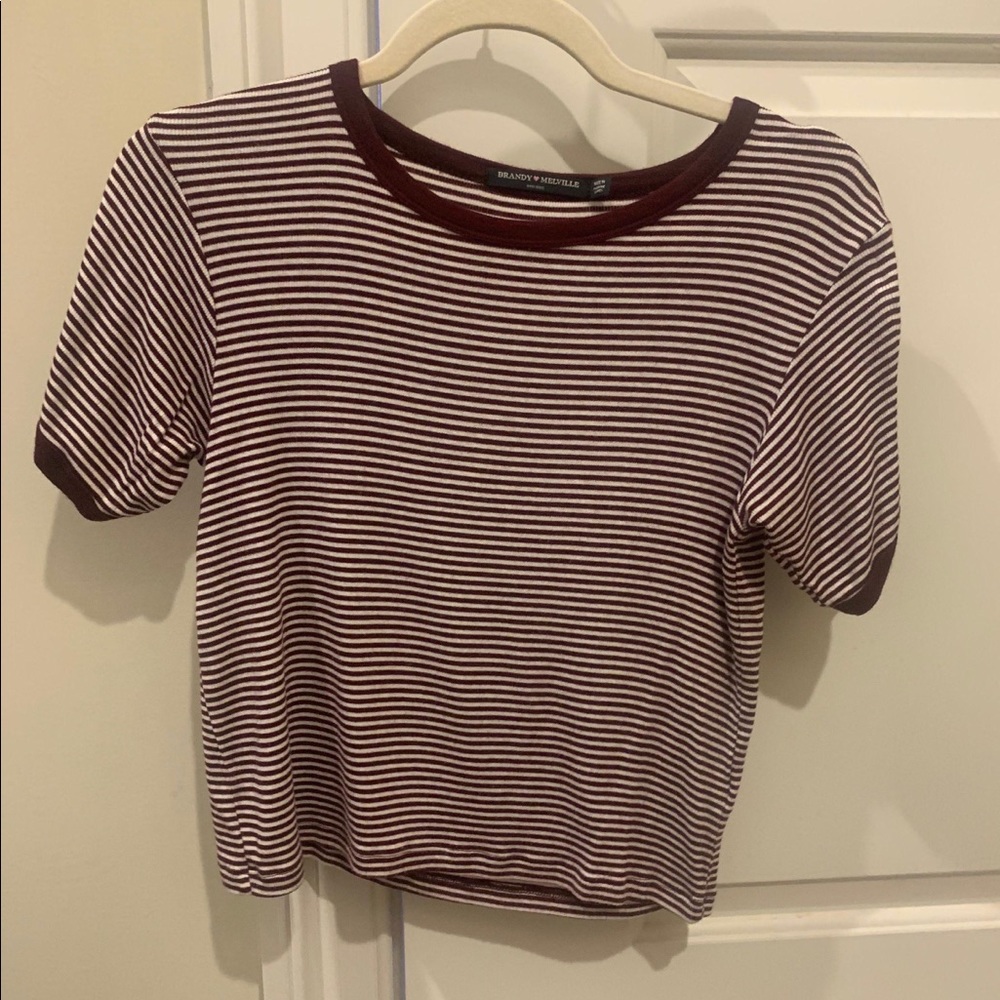 Brandy Melville Crop Top